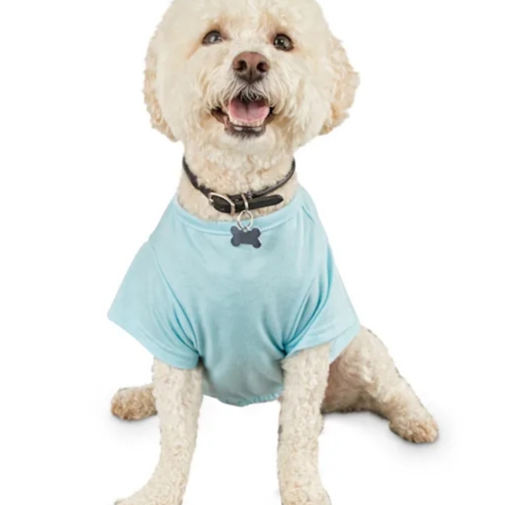 🚨SALE | Bond & Co | Dog Birthday Boy Shirt - Picture 6 of 8